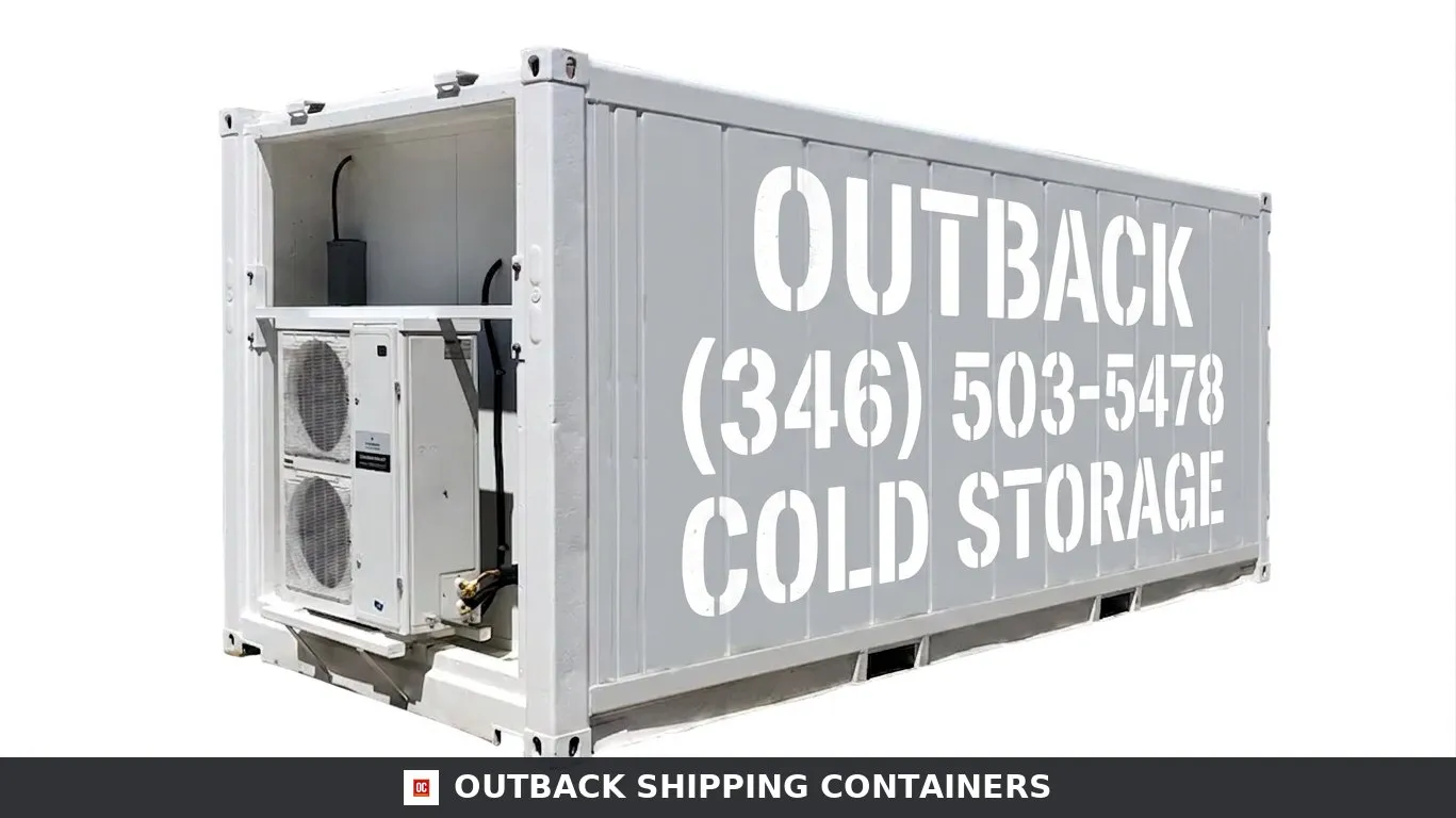 Single-Phase 20ft New Refrigerated Container Low Temp