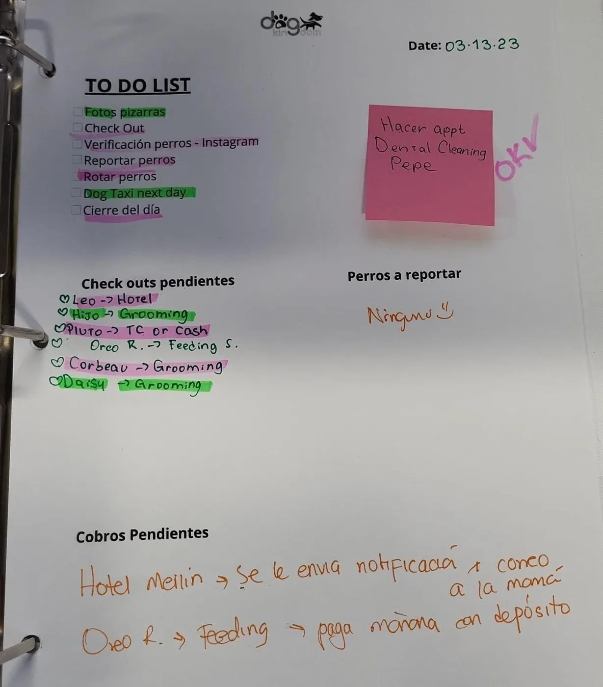 Product view 9