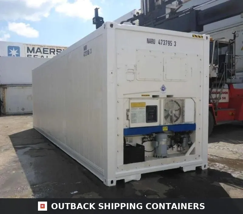 30 Feet Freezer Container Customized Mobile Cold Storage Cell Container / Reefer