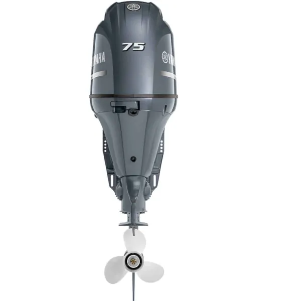 Product view 4
